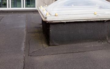 disadvantages of Nicholashayne flat roofs