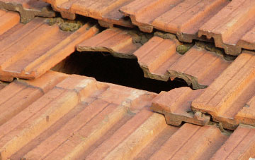 roof repair Nicholashayne, Devon