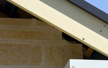 soffit repair Nicholashayne