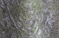 Nicholashayne fibreglass roof work